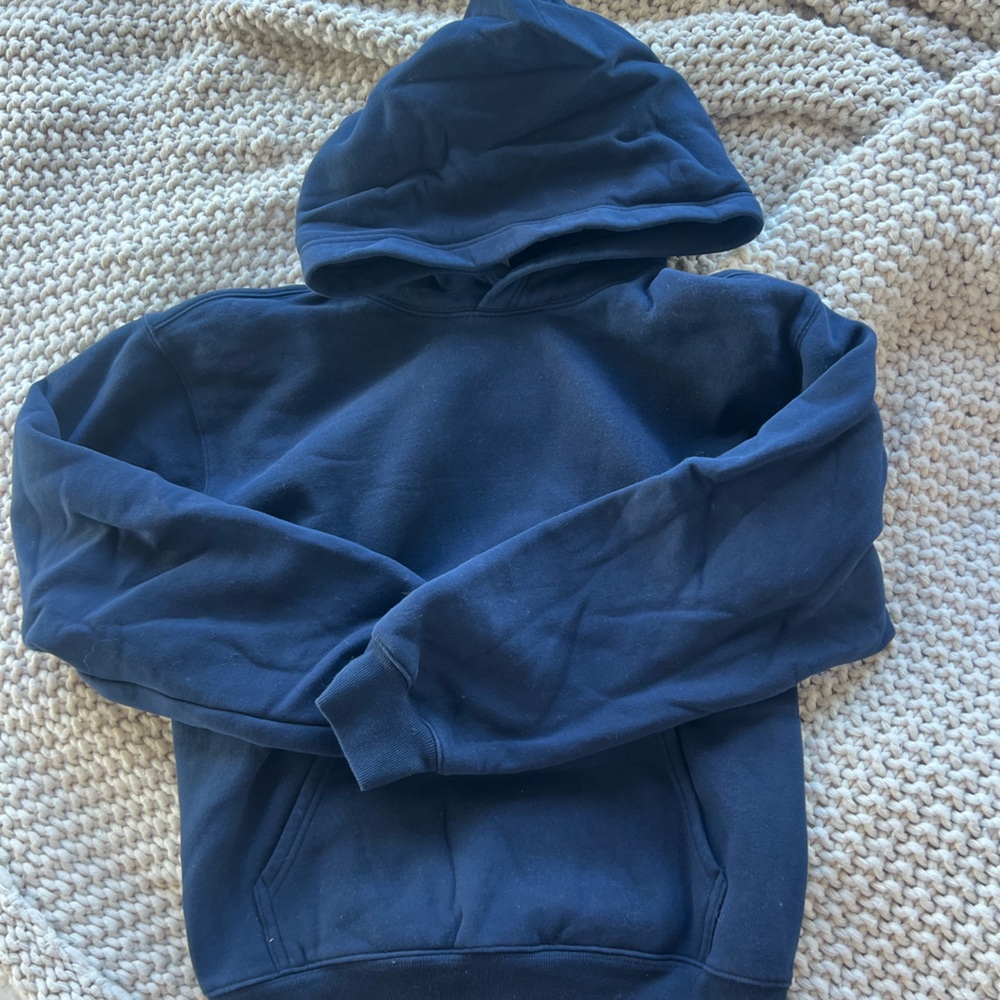 Aritzia Navy Blue Perfect Hoodie
